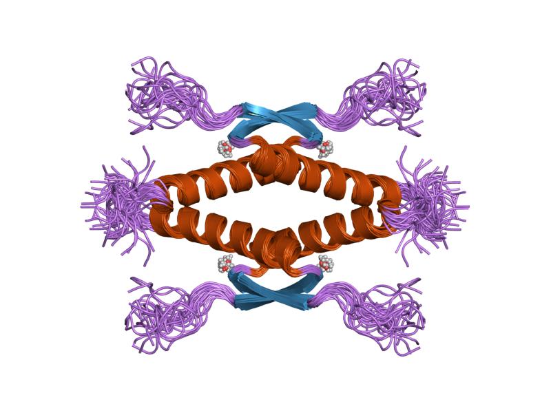 File:PDB 1sah EBI.jpg