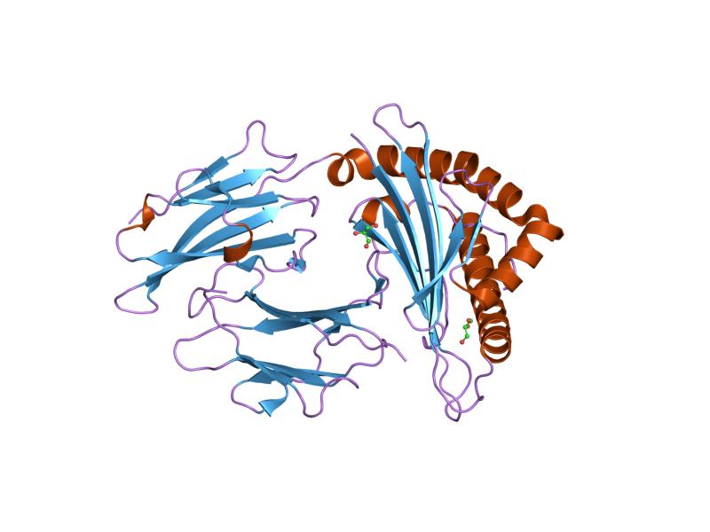 File:PDB 1w0w EBI.jpg