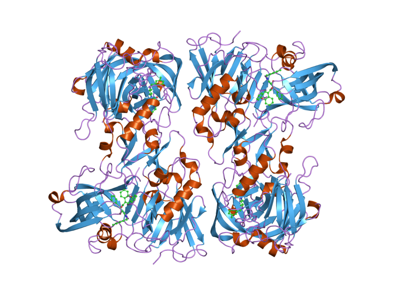 File:PDB 2ewy EBI.png