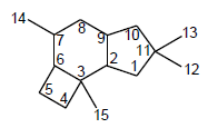 PROTOILUDAN - NUMARALAMA.png