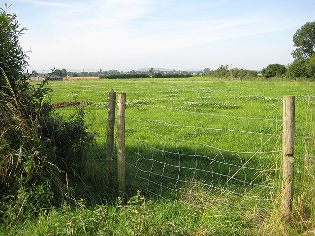 Pasture south of Elmstone Hardwicke - geograph.org.uk - 898229