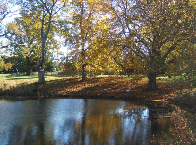 Pond in Shrubland Park - geograph.org.uk - 598529