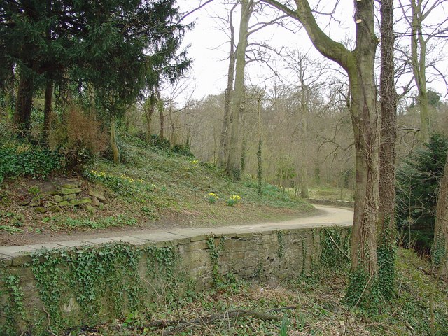 File:Riverside walk near Prebends Bridge - geograph.org.uk - 1224755.jpg