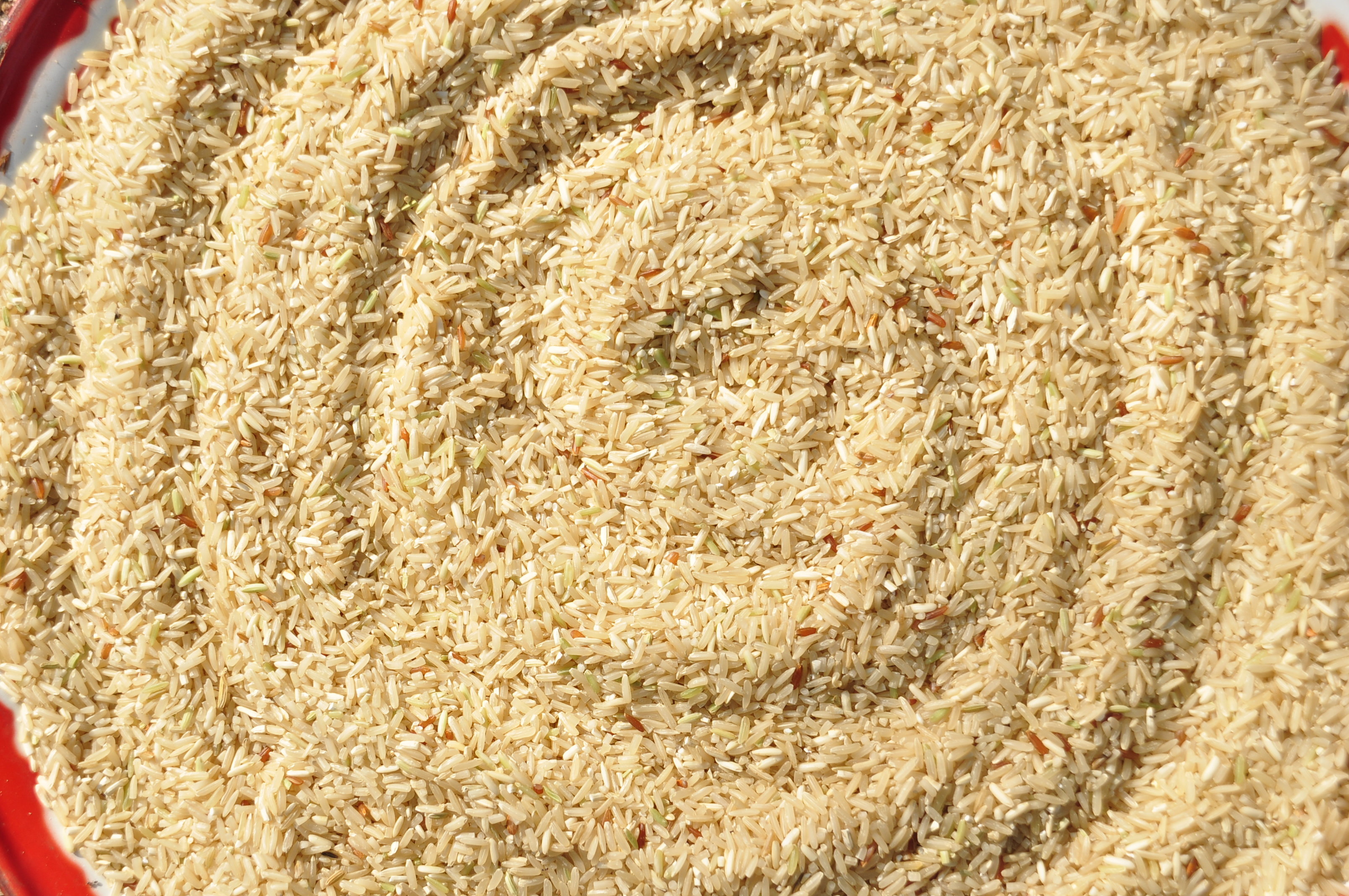 Rice bran