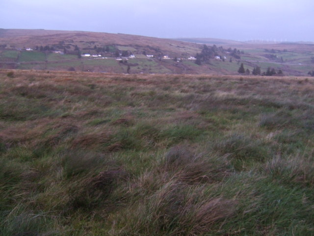 File:Rough grazing at Boultifree - geograph.org.uk - 612191.jpg