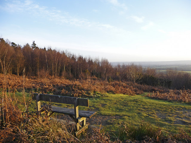 Scearn Bank, Limpsfield Chart, Surrey - geograph.org.uk - 1137129