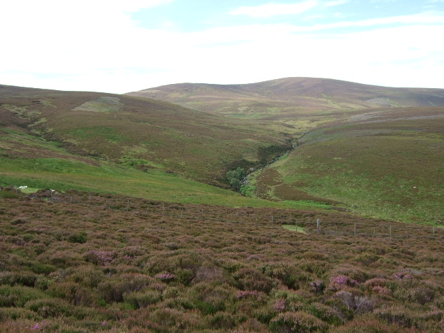 File:Stag Burn from Cairn O'Mount road - geograph.org.uk - 511357.jpg
