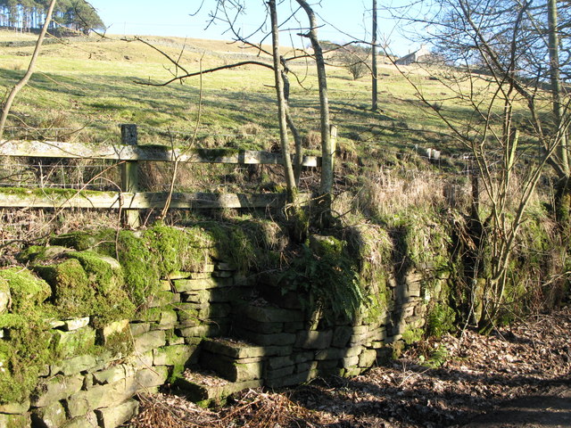 File:Steps built into drystone wall - geograph.org.uk - 704645.jpg