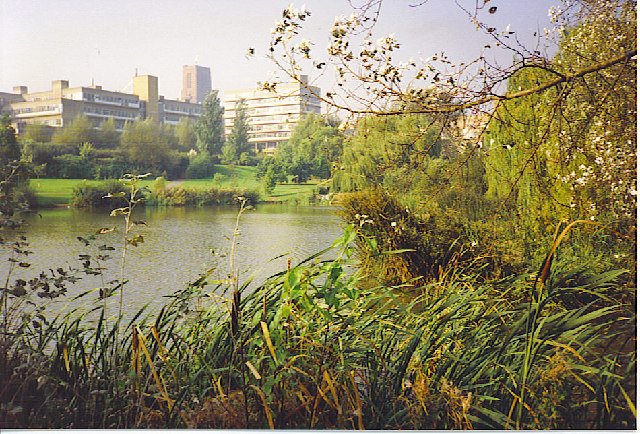 File:The University of Surrey. - geograph.org.uk - 116309.jpg