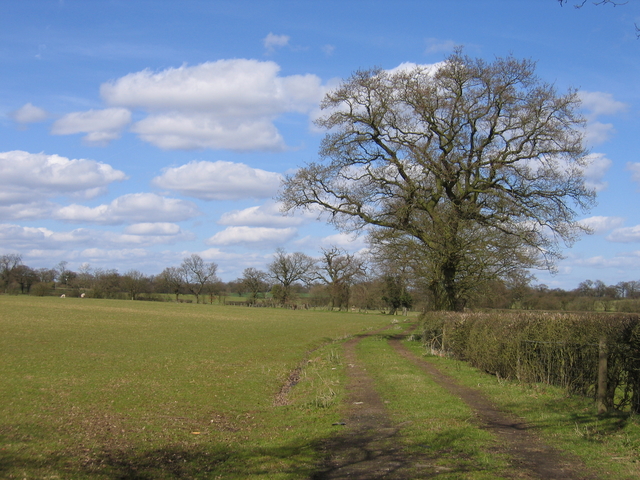 File:View from Watery Lane - geograph.org.uk - 151845.jpg