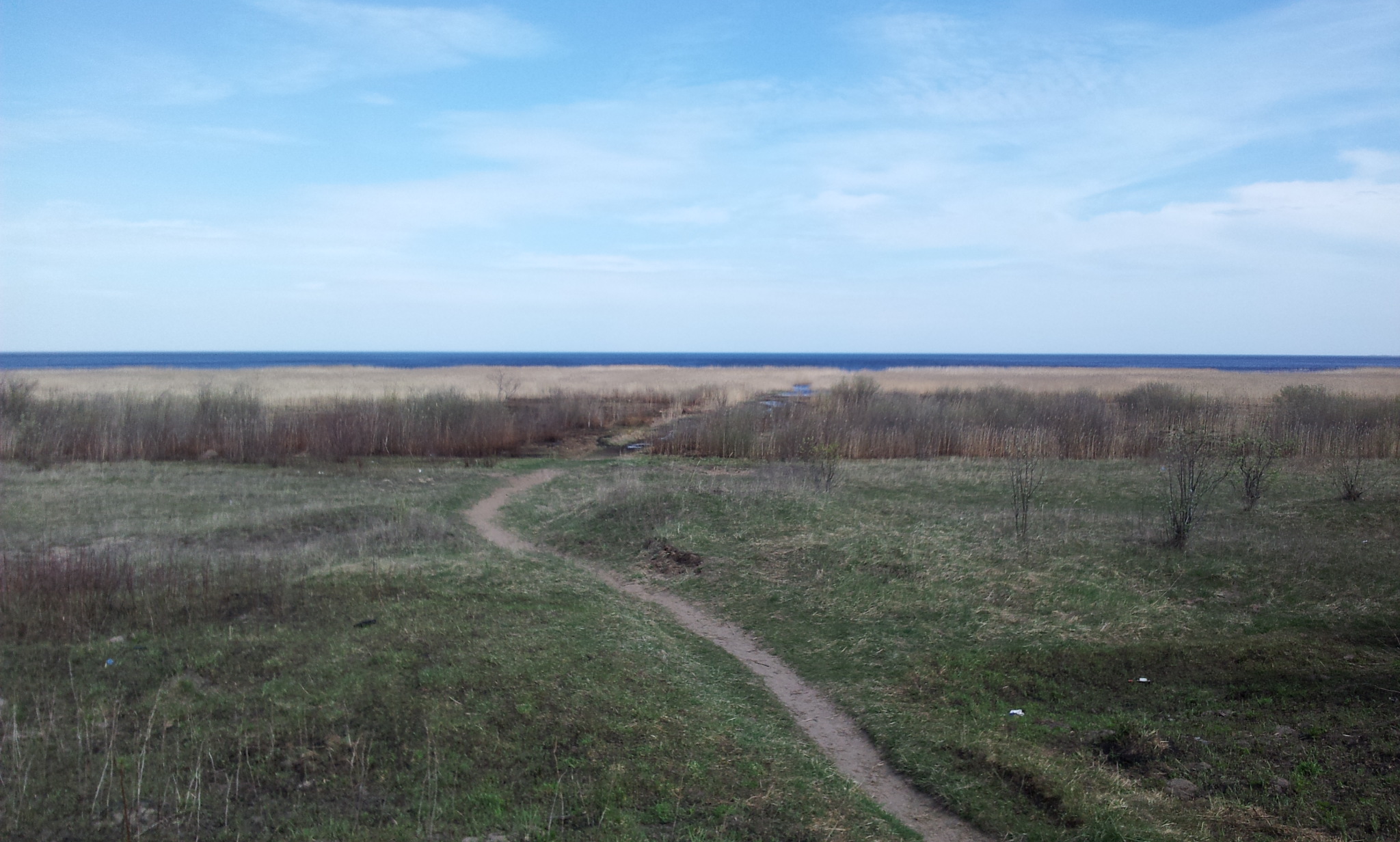 Гора тараторкина ленинградская область фото