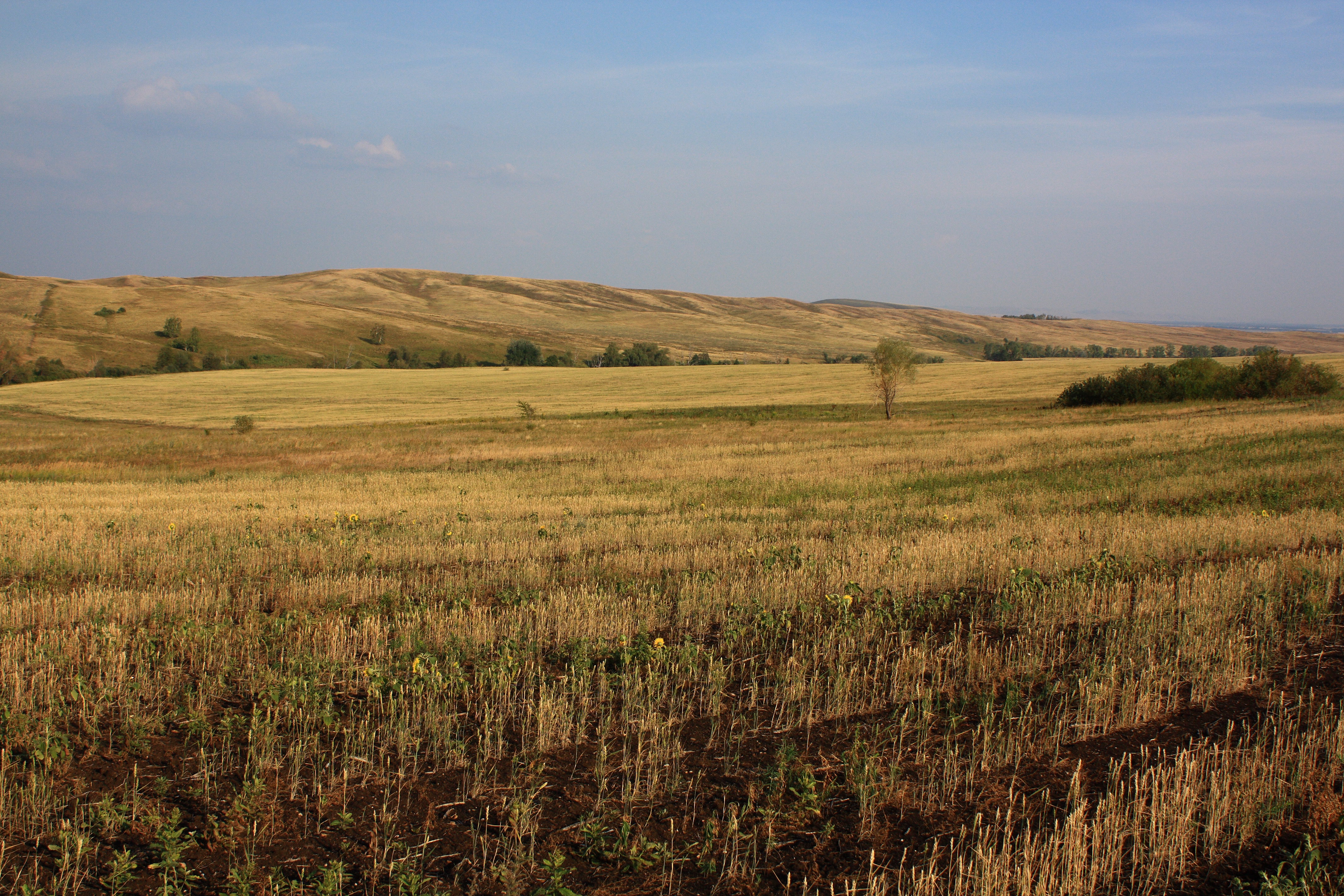 Село гряда. Гряда холмов. Каравская гряда холмов. Гряда холмов 4 буквы. Гряда холмов 4 буквы сканворд.