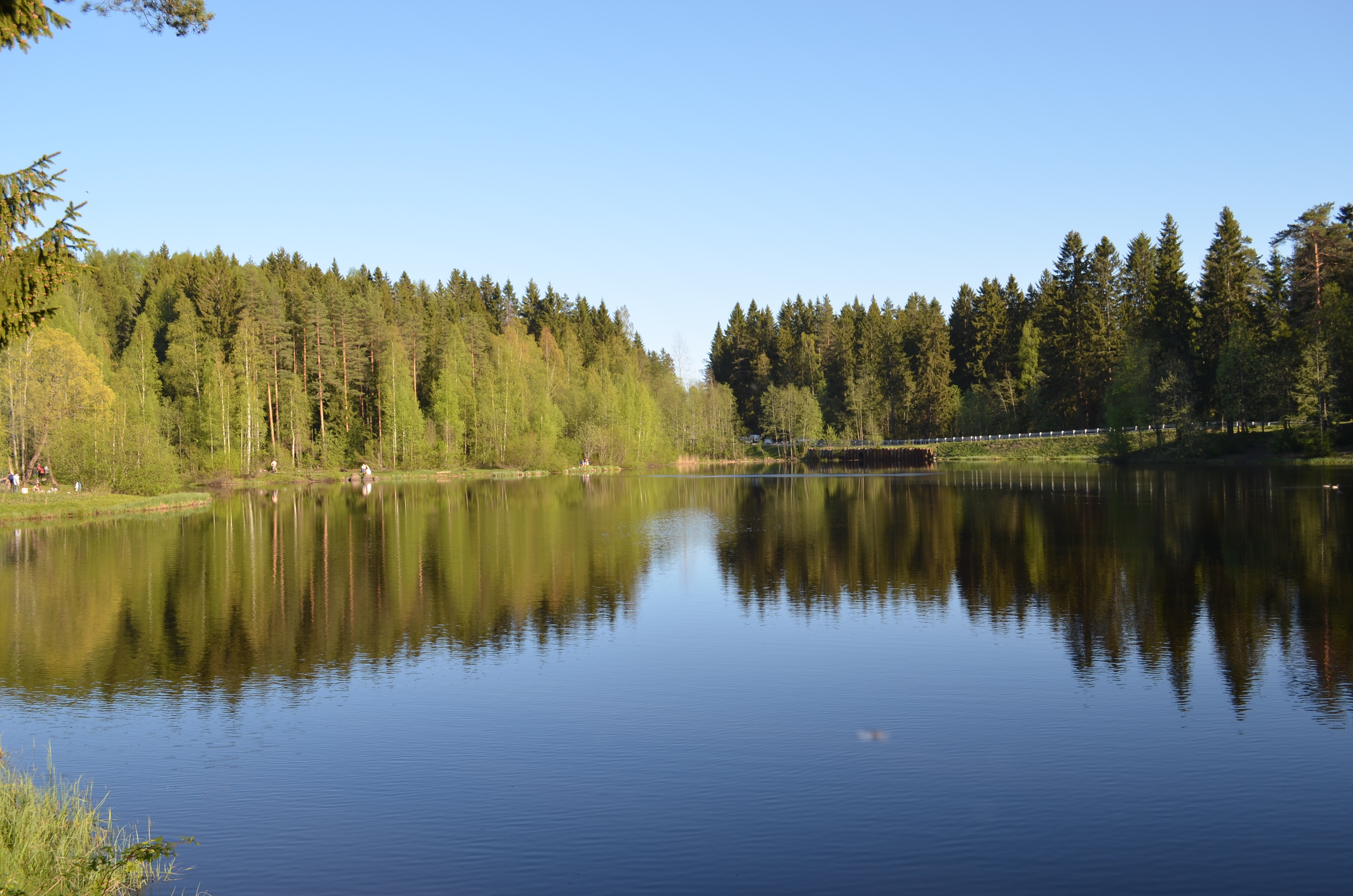 Ново-Кавголовский лесопарк озеро