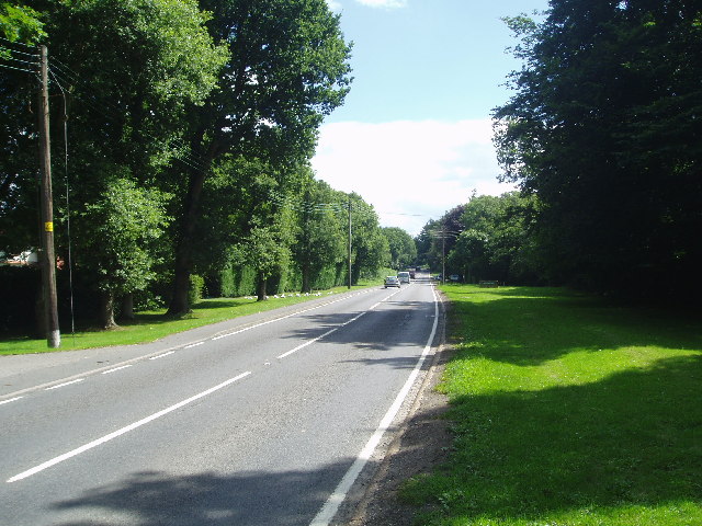 File:A272 road - geograph.org.uk - 33042.jpg