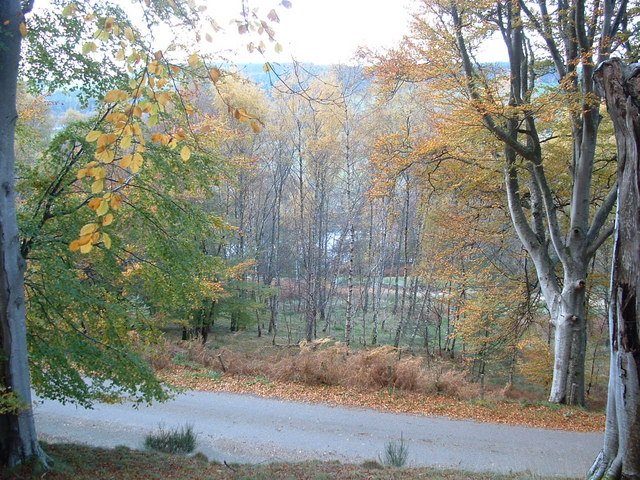 File:A glimpse of the Spey. - geograph.org.uk - 273806.jpg