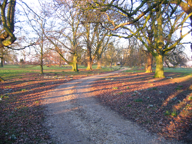 File:Abbey Farm drive, Swineshead, Lincs - geograph.org.uk - 132450.jpg