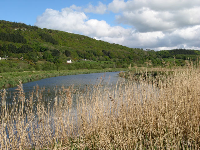 Afon Conwy with reeds - geograph.org.uk - 1295662