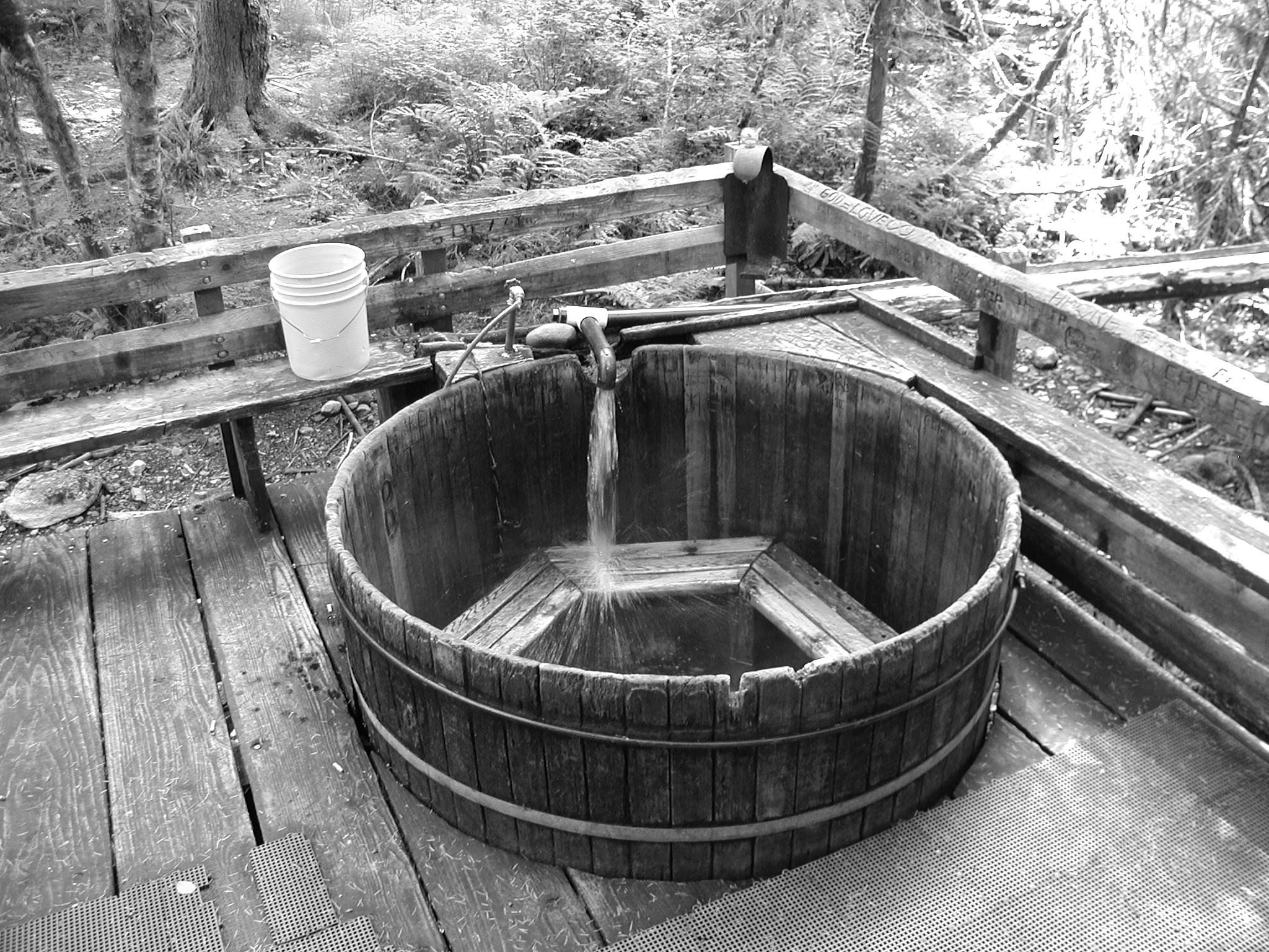 File:Two nude women in a hollow tree trunk, Bagby Hot Springs, Oregon -  20070829.jpg - Wikipedia