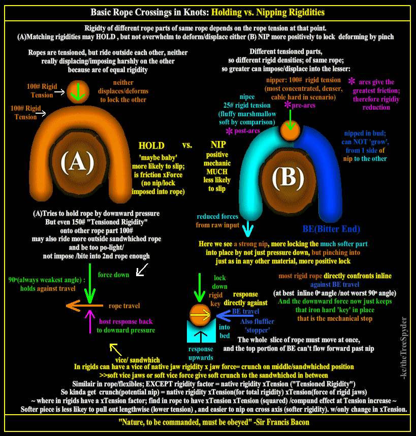 Basic-rope-crossings-in-knots-holding-vs-nipping-rigidities.png