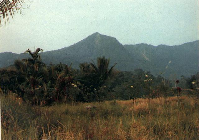 File:Belirang-Beriti.jpg