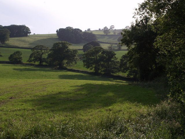 File:By Pottle Oysters Coppice - geograph.org.uk - 478670.jpg