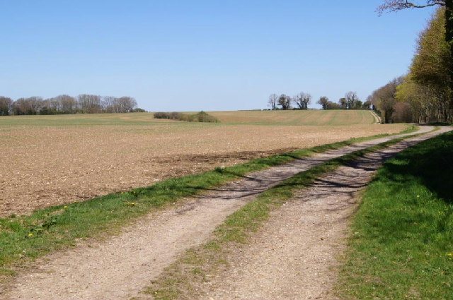 File:Byway on Becket's Down - geograph.org.uk - 3442843.jpg