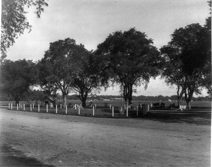 File:COLLECTIE TROPENMUSEUM Het Koningsplein te Batavia gezien vanuit het noorden in oostelijke richting TMnr 60009491.jpg