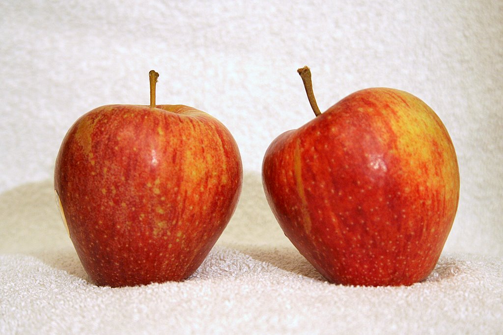 Cameo Apples Information and Facts