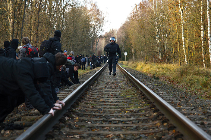 File:Castor 2011 - Monte Göhrde (09).jpg