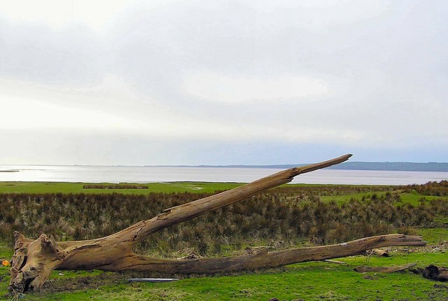 File:Cowp Scar, Flotsam ^ - geograph.org.uk - 354606.jpg