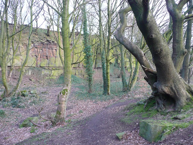 File:Disused quarry, Elland Wood Bottom, Halifax - geograph.org.uk - 1202451.jpg