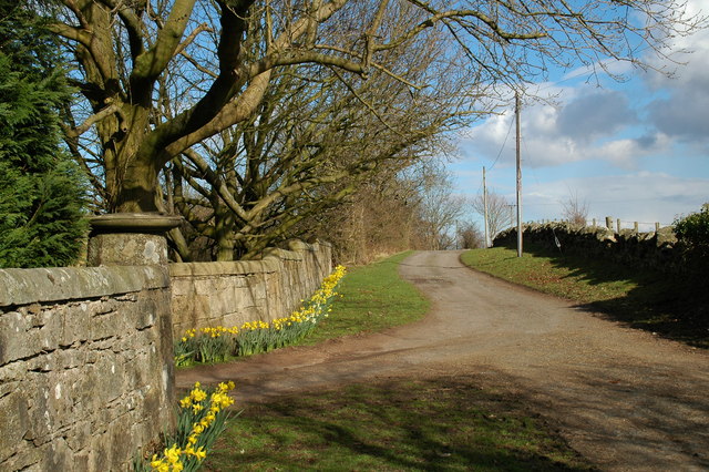 File:Drive to Chartershall House - geograph.org.uk - 156697.jpg