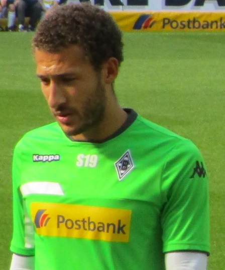 File:Fabiam Johnson borussia.jpg