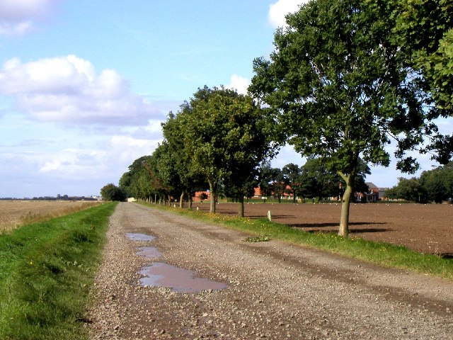 File:Farm Track - geograph.org.uk - 54000.jpg