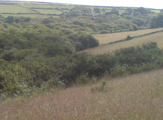 File:Ferny Glen beyond the trees - geograph.org.uk - 891275.jpg