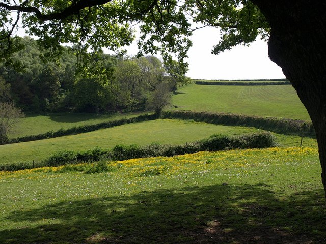 File:Fields above Rora House - geograph.org.uk - 1302160.jpg