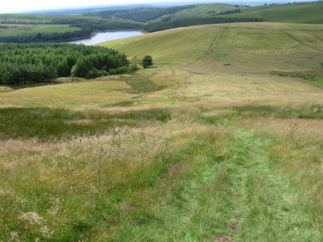 File:Footpath towards Lamaload Reservoir - geograph.org.uk - 1401788.jpg