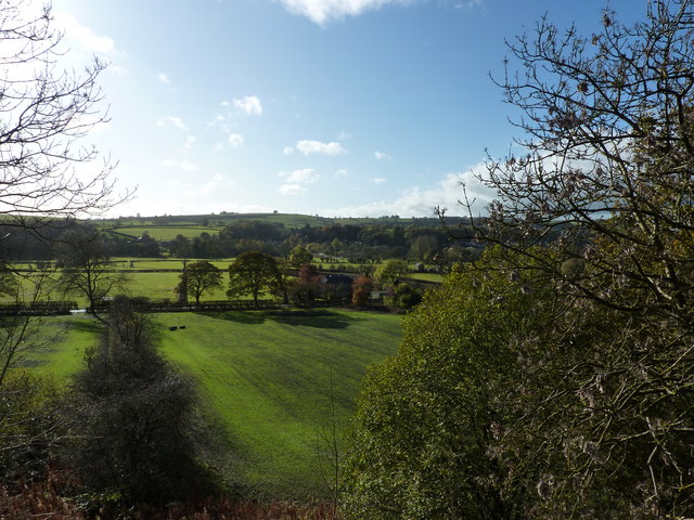 File:Green shoots - geograph.org.uk - 1552718.jpg