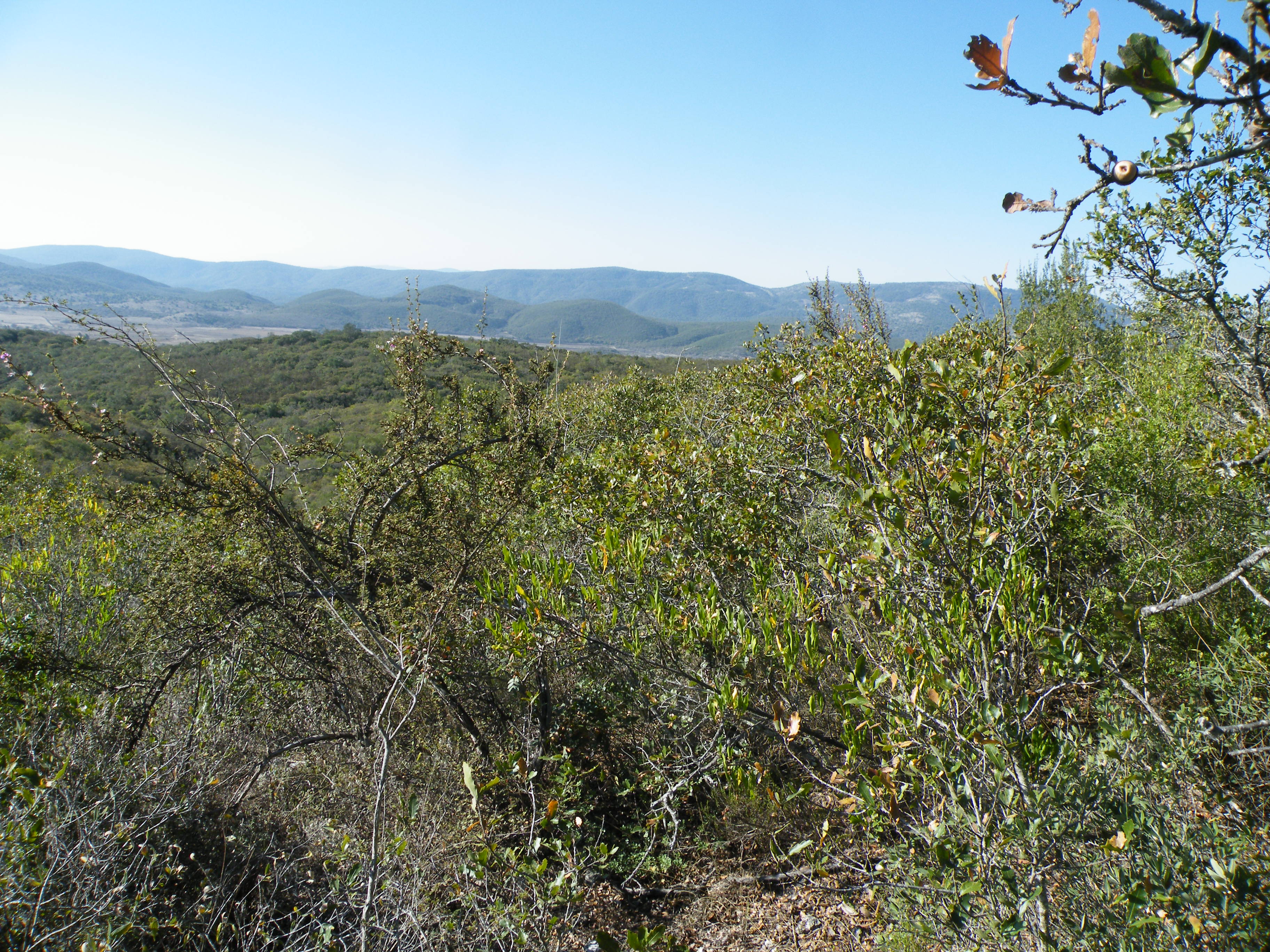 Guadalcazar 2, San Luis Potosi (5766067216).jpg