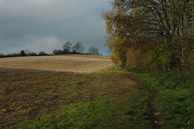 Local footpath - geograph.org.uk - 703659