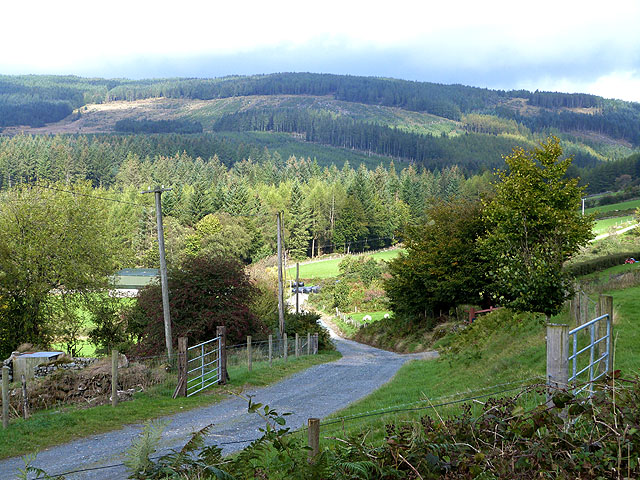 File:Looking across the Aghavannagh valley - geograph.org.uk - 4196587.jpg