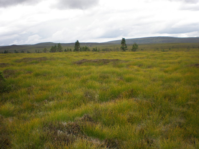 File:Looking west to trees beside Allt a' Choire Odhair Bhig - geograph.org.uk - 1433226.jpg