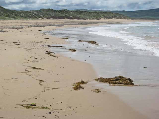 File:Machrihanish Beach looking south - geograph.org.uk - 484757.jpg