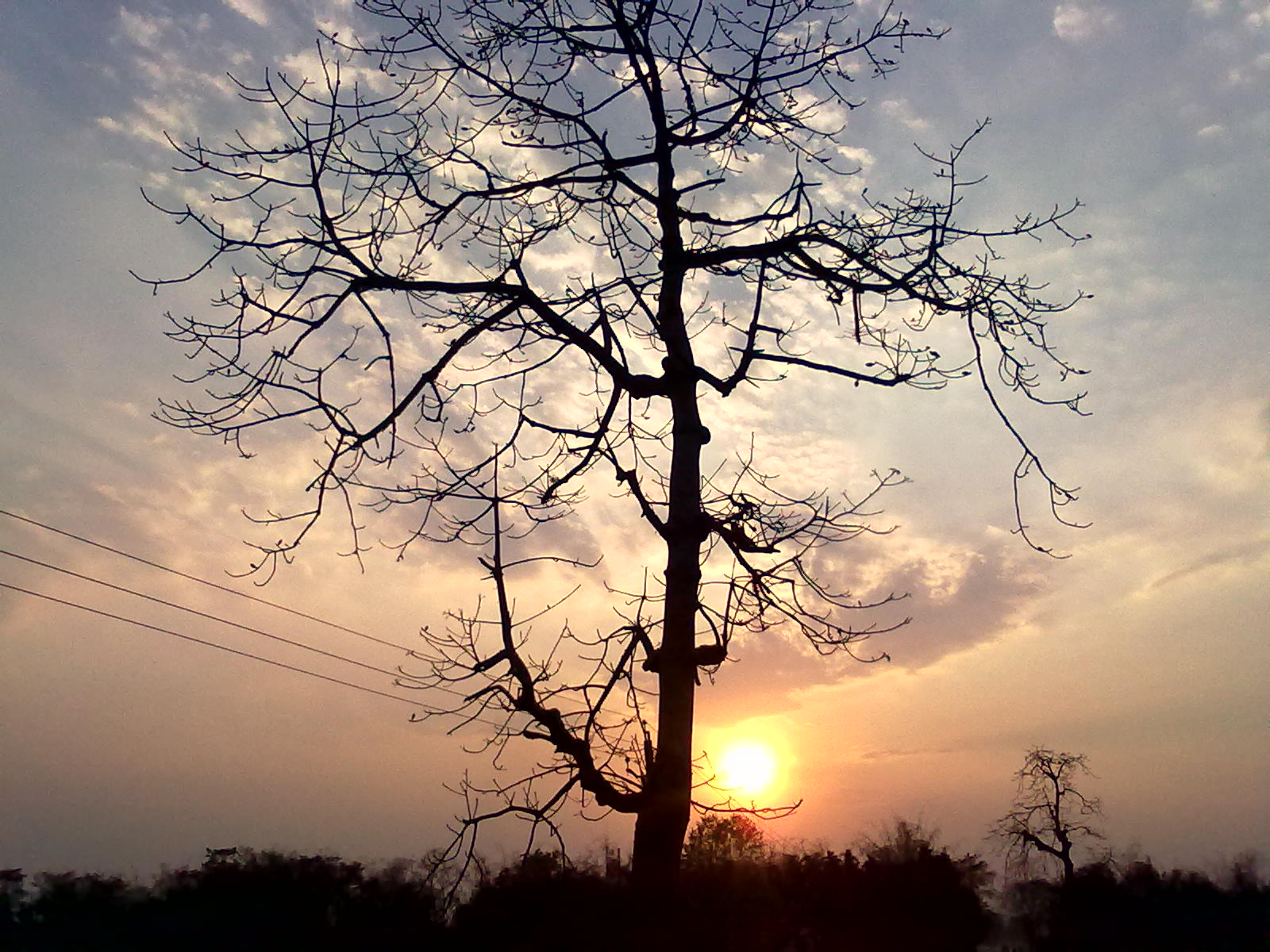 https://upload.wikimedia.org/wikipedia/commons/a/af/Natural_Beauty_of_Kalaigaon.jpg