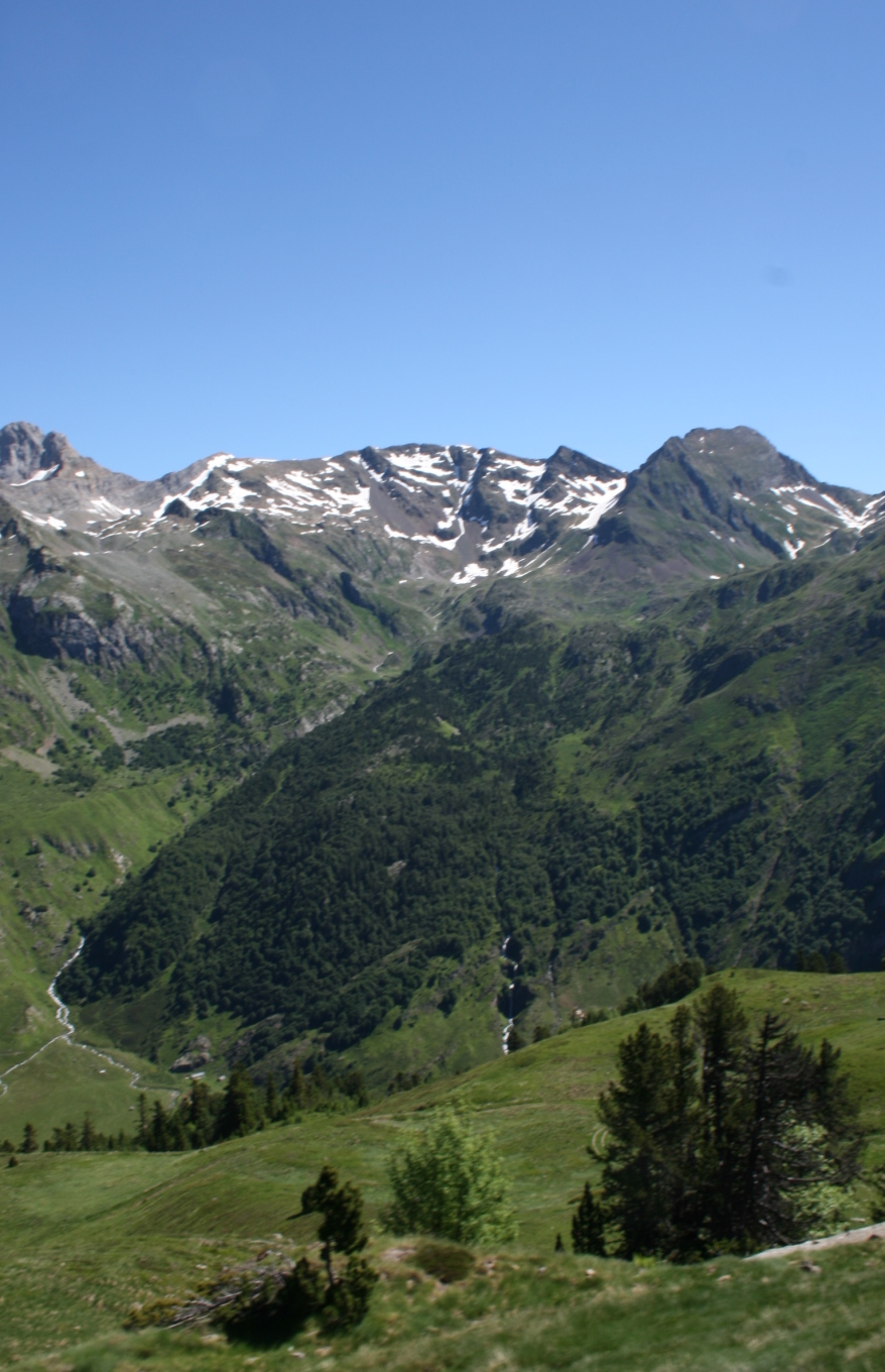 Великие Пиренеи. Айбигель s Valley.