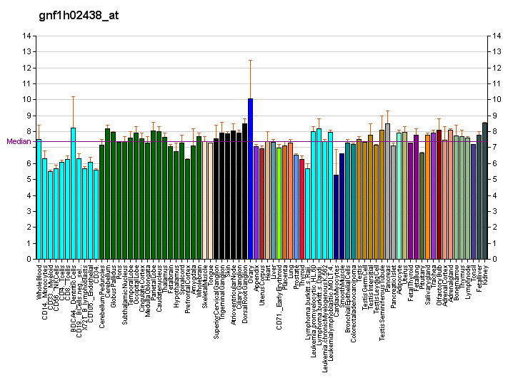 File:PBB GE GRIA2 gnf1h02438 at fs.png