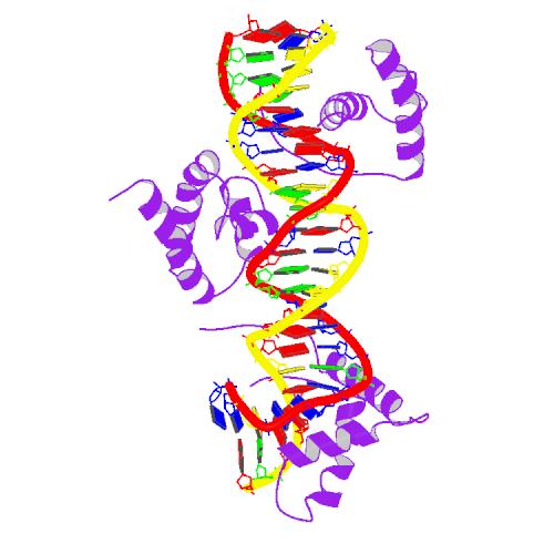 File:PBB Protein SOX2 image.jpg