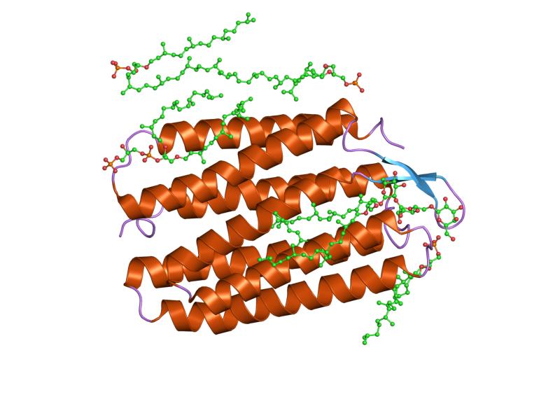 File:PDB 1iw9 EBI.jpg