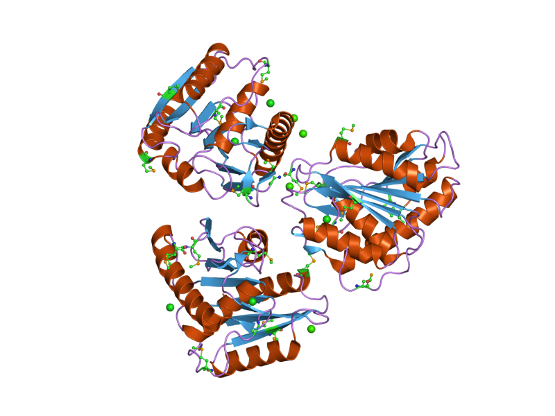 File:PDB 2h1i EBI.png