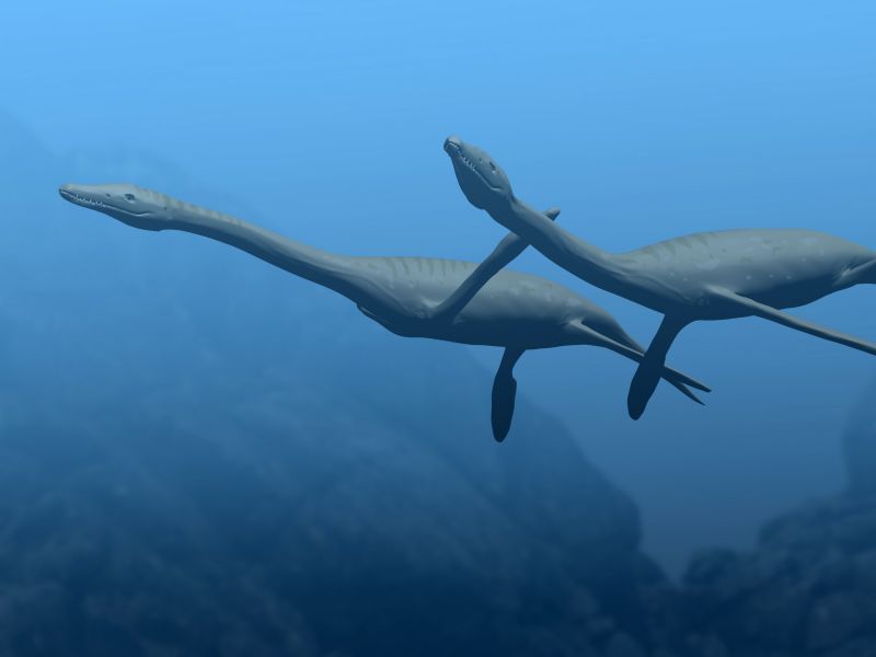 Plesiosaurus BW